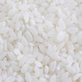 Distributor Beras Pandan Wangi Supplier Beras Mentik Wangi Rojolele