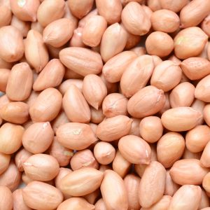 Distributor Kacang Tanah Peanut Supplier Indonesia Icon