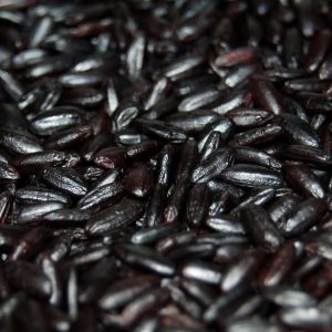 Distributor Ketan Hitam Black Glutinous Rice Supplier Indonesia Icon
