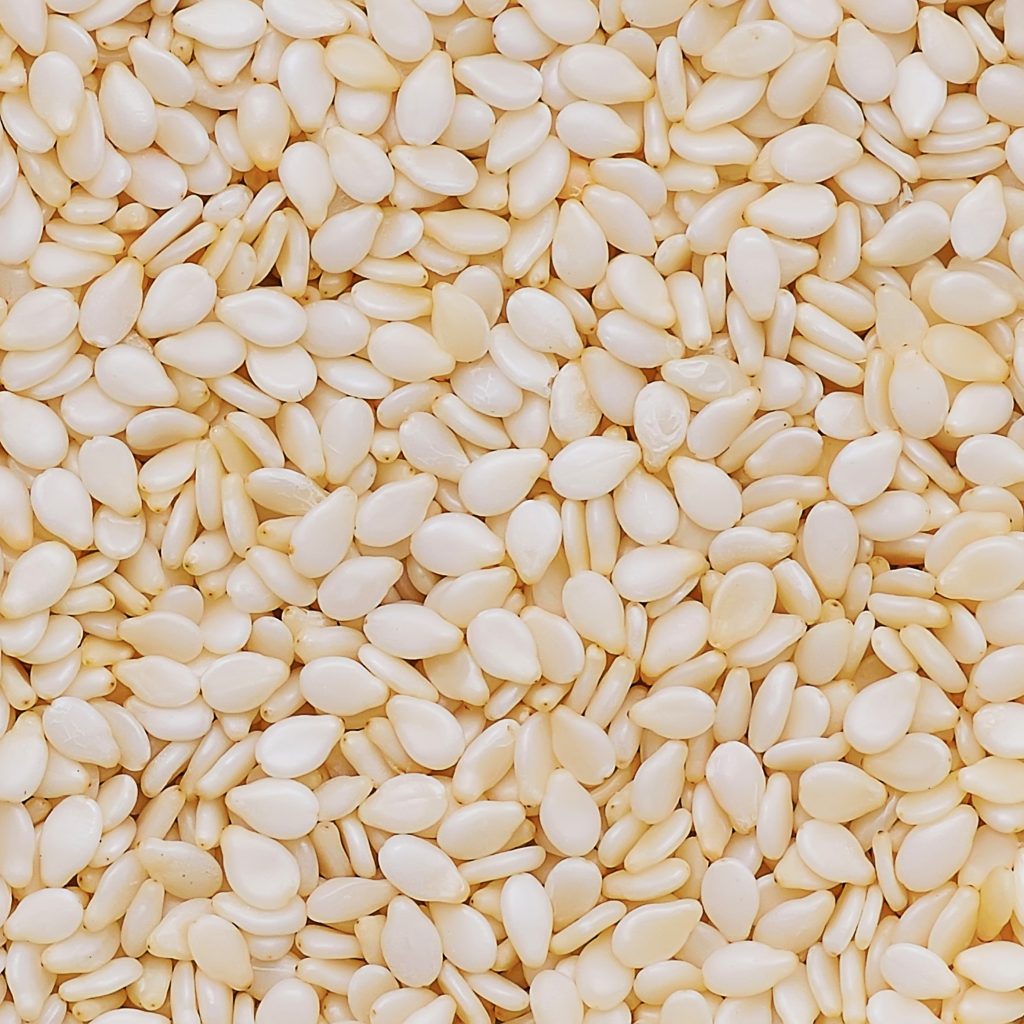 Distributor Wijen Sesame Supplier Indonesia Icon