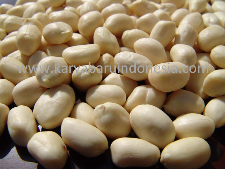 Supplier Kacang Tanah Kupas - Distributor Kacang Tanah Kupas