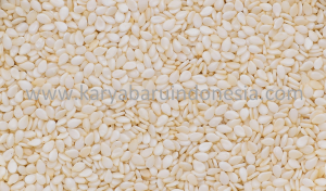 Supplier Wijen Putih - Distributor Wijen - Agen Grosir